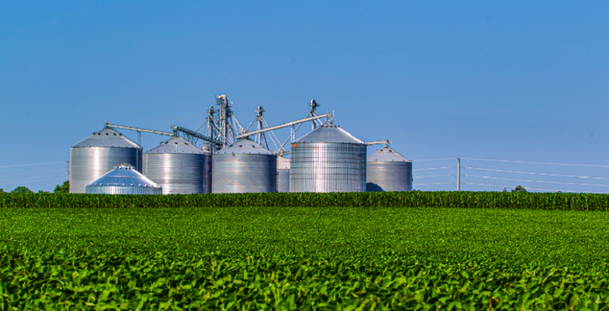 Tamanho imagem - usar no site (45)